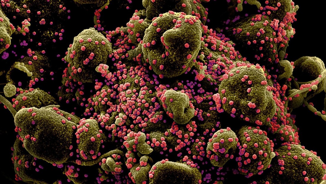 La variante británica del coronavirus puede ser hasta dos veces más mortal que otras, según un estudio