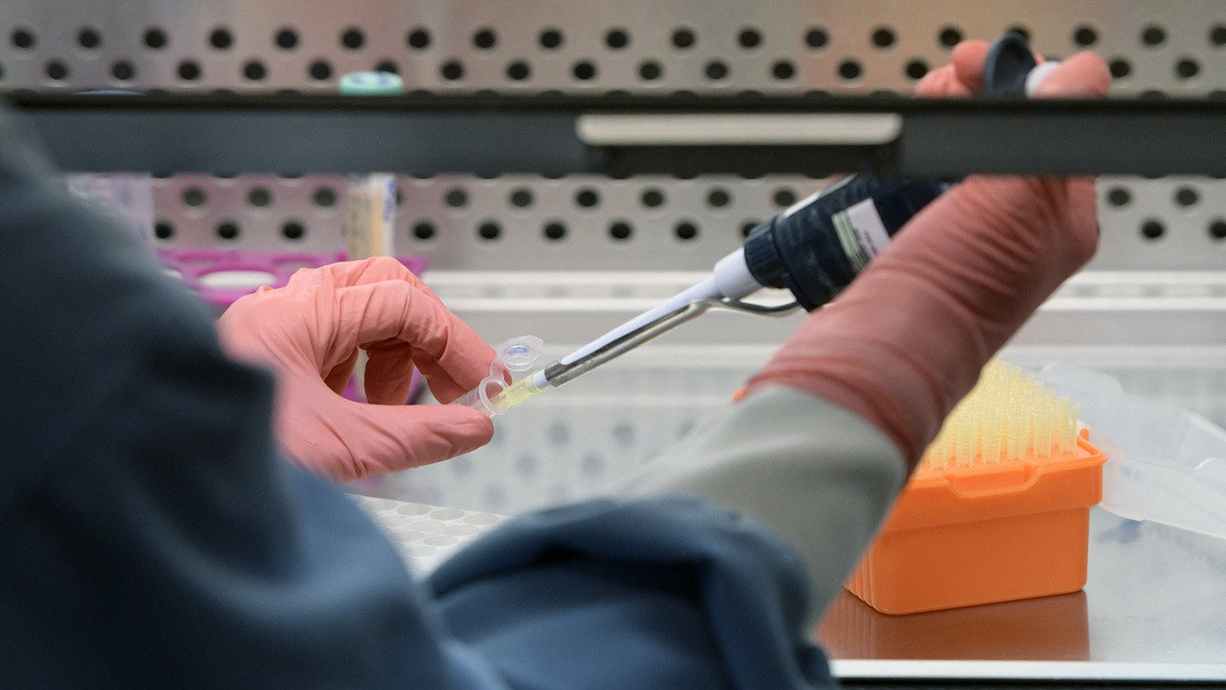 El caso único de "la paciente de Buenos Aires" que controla el VIH desde hace 12 años