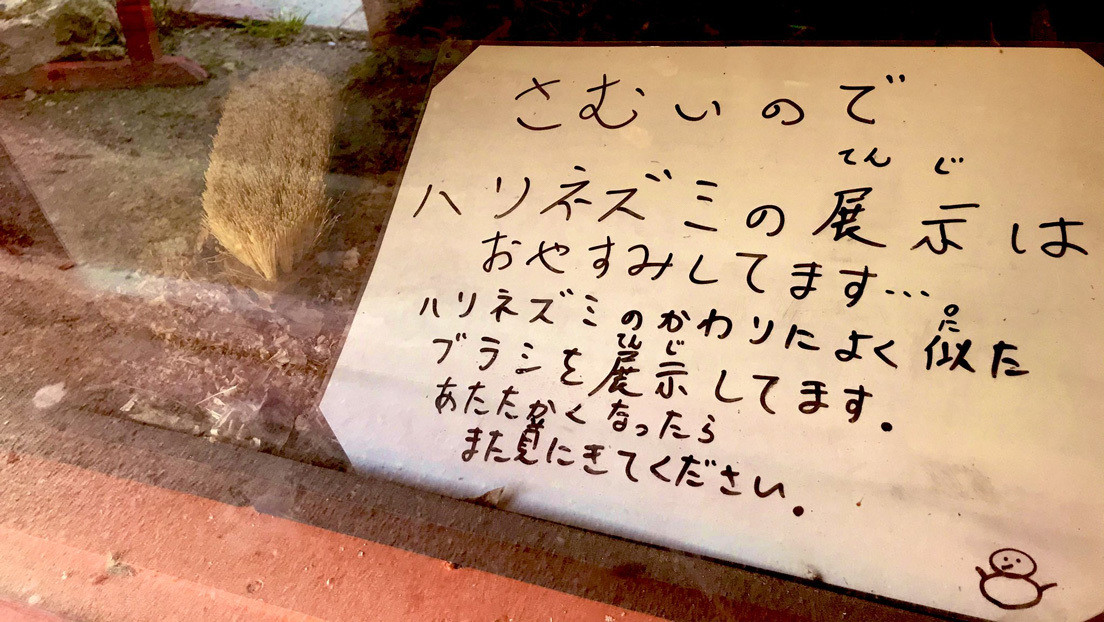 Un zoológico japonés reemplaza a un erizo con un cepillo "que se parece" al animal (FOTO)