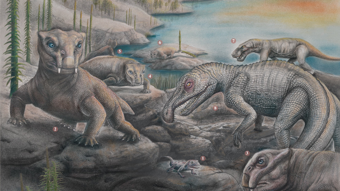 Científicos estiman que solo el 5 % de las especies sobrevivieron a la 'Gran Mortandad' y explican cómo se recuperaron los ecosistemas