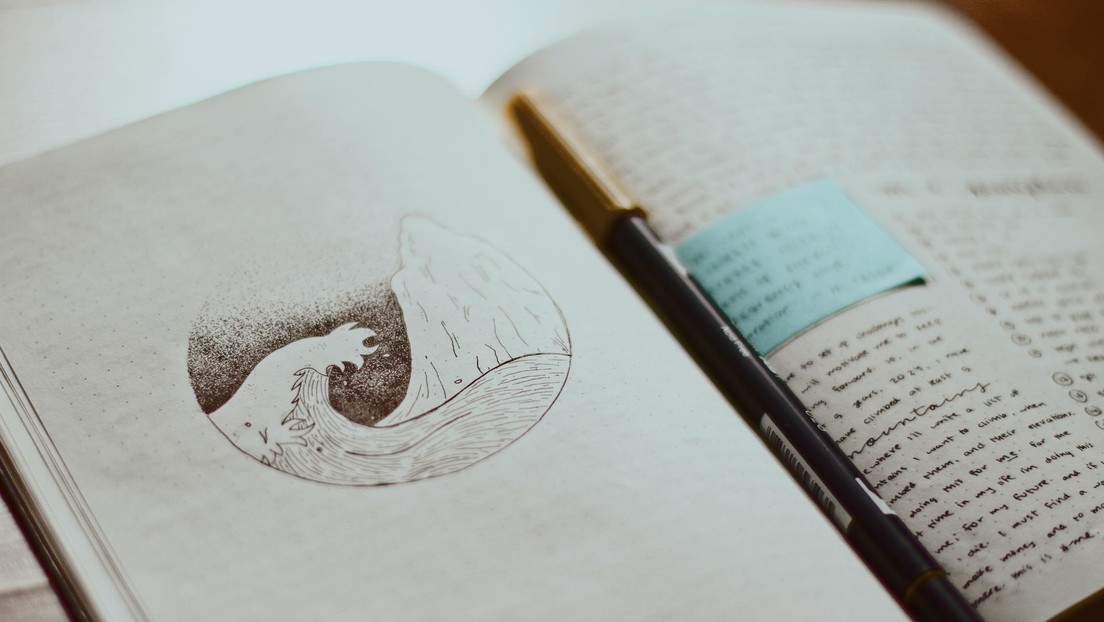 VIDEOS: Una 'tiktoker' halla el diario de un ama de casa de 1957