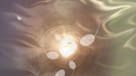 Un hombre que ha engendrado 35 hijos tras donar su esperma en Internet asegura que la demanda aumentó con la pandemia