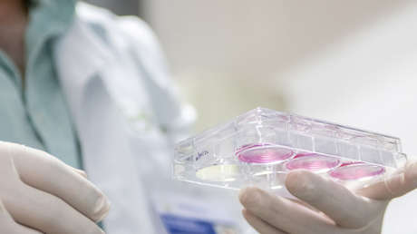 Una universidad ecuatoriana desarrolla un prototipo de vacuna contra el covid-19