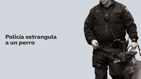 VIDEO: Un oficial de Policía estrangula y golpea a un perro en EE.UU.