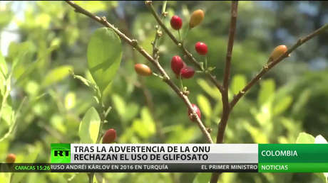 Colombia rechaza el uso del glifosato tras la advertencia de la ONU