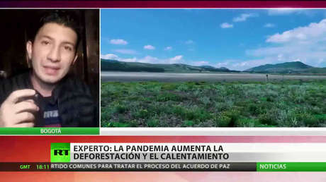 Experto advierte que la pandemia aumenta la deforestación y el calentamiento global