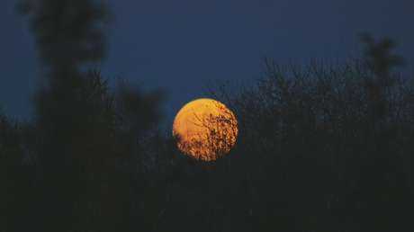 Este es el precio por el que se podría comprar una casa en la Luna