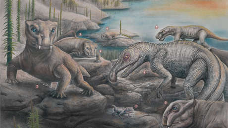 Científicos estiman que solo el 5 % de las especies sobrevivieron a la 'Gran Mortandad' y explican cómo se recuperaron los ecosistemas