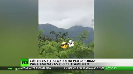 Cárteles y TikTok: otra plataforma para amenazas y reclutamiento