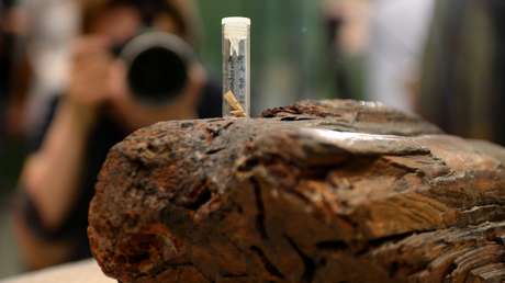 La escultura de madera más antigua del mundo podría tener incluso más años de lo que se creía