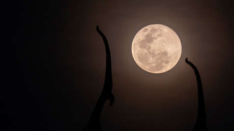 Una superluna aparecerá en el cielo este domingo