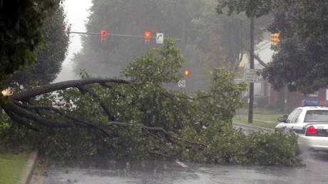 Muere una famosa 'tiktoker' estadounidense al caer sobre su auto una rama de árbol