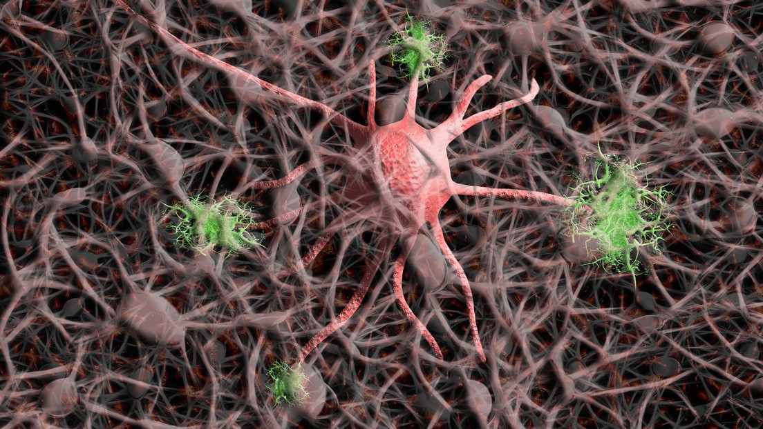 Una vacuna contra el cáncer cerebral supera con éxito la primera etapa de los ensayos clínicos