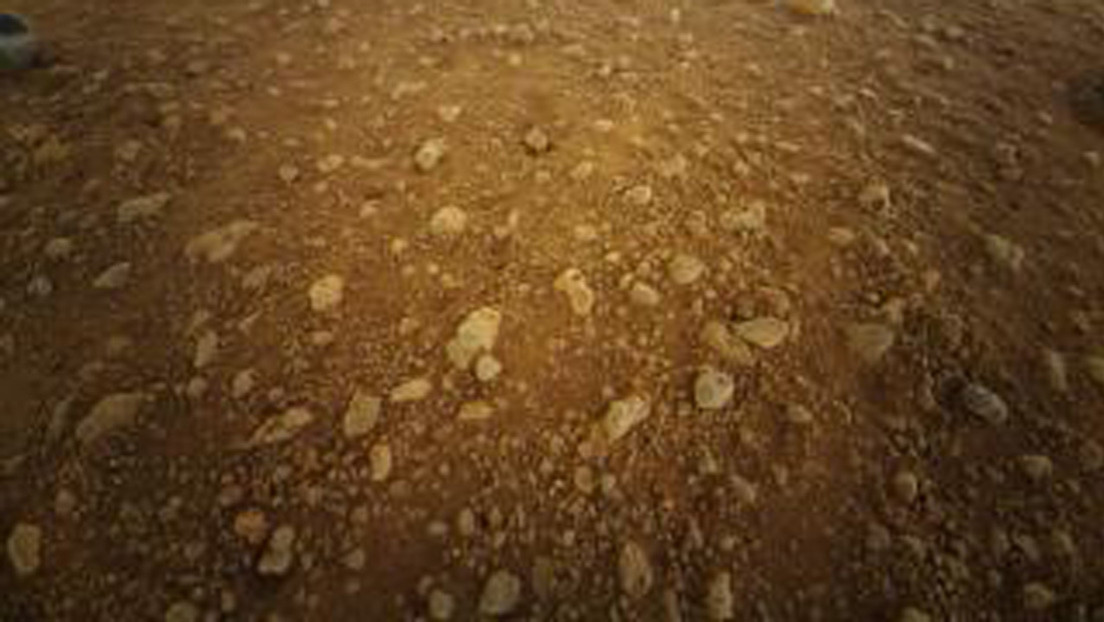 El minihelicóptero Ingenuity de la NASA envía su primera foto desde Marte