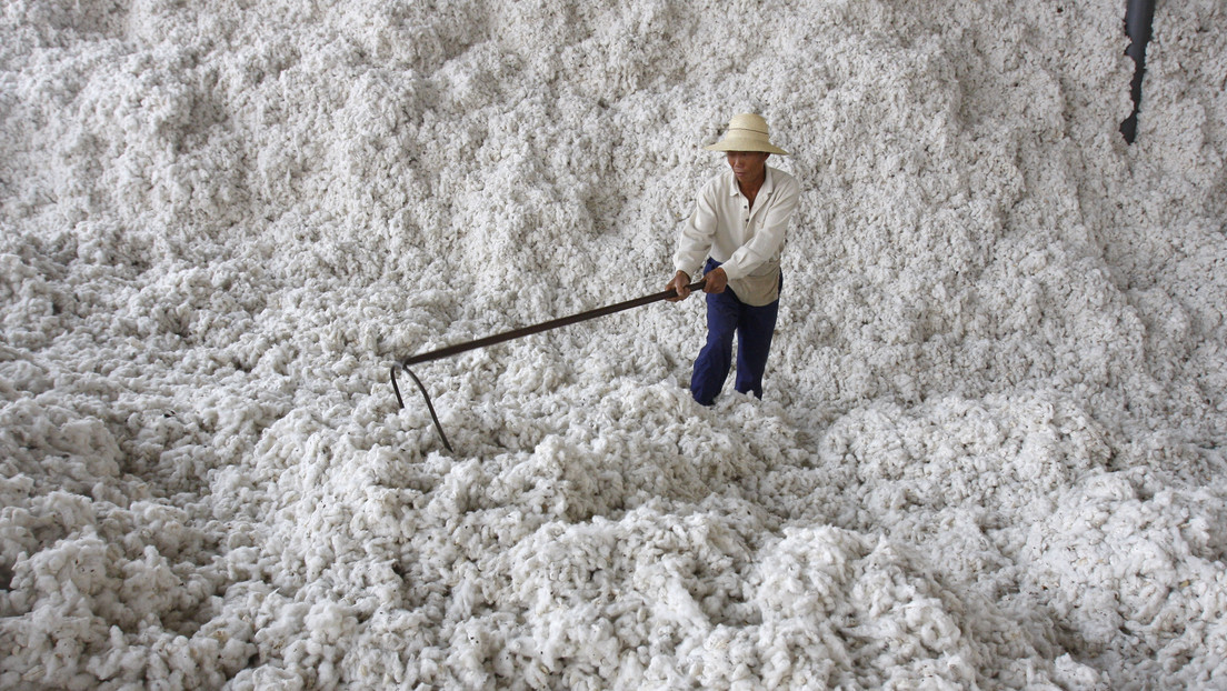 Revelan que EE.UU. duplicó sus importaciones desde Xinjiang en el primer trimestre de 2021 pese a que impuso sanciones contra los productores locales