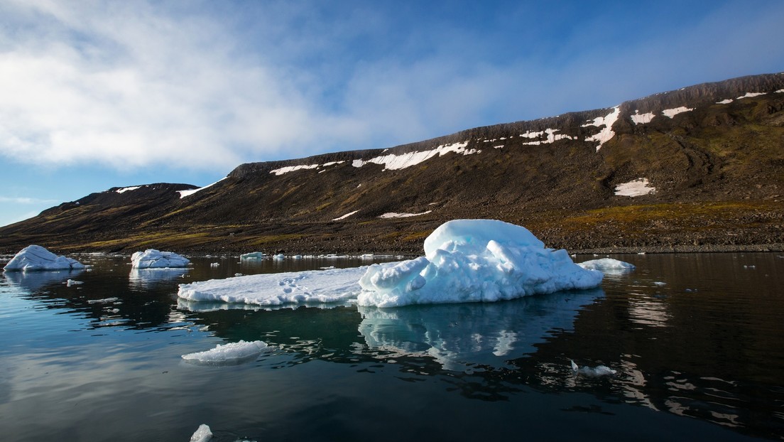 Investigadores descubren esponjas marinas 'andantes' en la costa norte de Rusia