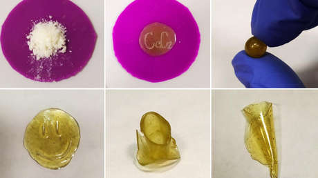 Químicos rusos crean polímeros 'renovables' a partir de biomasa vegetal