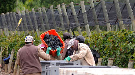 El FMI anticipa que América Latina y el Caribe tendrán un crecimiento de 4,6 % en 2021: ¿de qué factores depende?