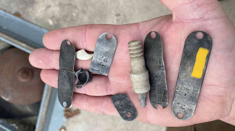 Encuentran cinco placas de perro y otros objetos 'raros' al interior del estómago de un gigantesco caimán de más de 4 metros