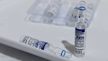 Austria acuerda comprar un millón de dosis de Sputnik V para su uso tras la autorización de la vacuna por el regulador europeo