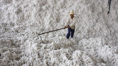 Revelan que EE.UU. duplicó sus importaciones desde Xinjiang en el primer trimestre de 2021 pese a que impuso sanciones contra los productores locales