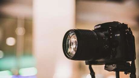 Hallan una cámara con más de 2.000 fotos intactas siete años después de que una familia la perdiera en una bahía de manatíes