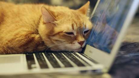 Los Mac sufren "uno de los peores 'hackeos'" en la historia del 'software' de Apple