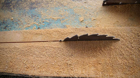 Los precios de la madera en EE.UU. se disparan un 250 % debido a la pandemia de covid-19