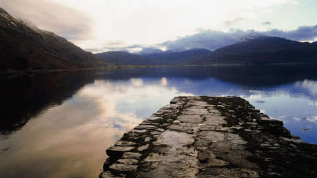 Encuentran un fósil que proporciona un eslabón perdido en la evolución de los animales