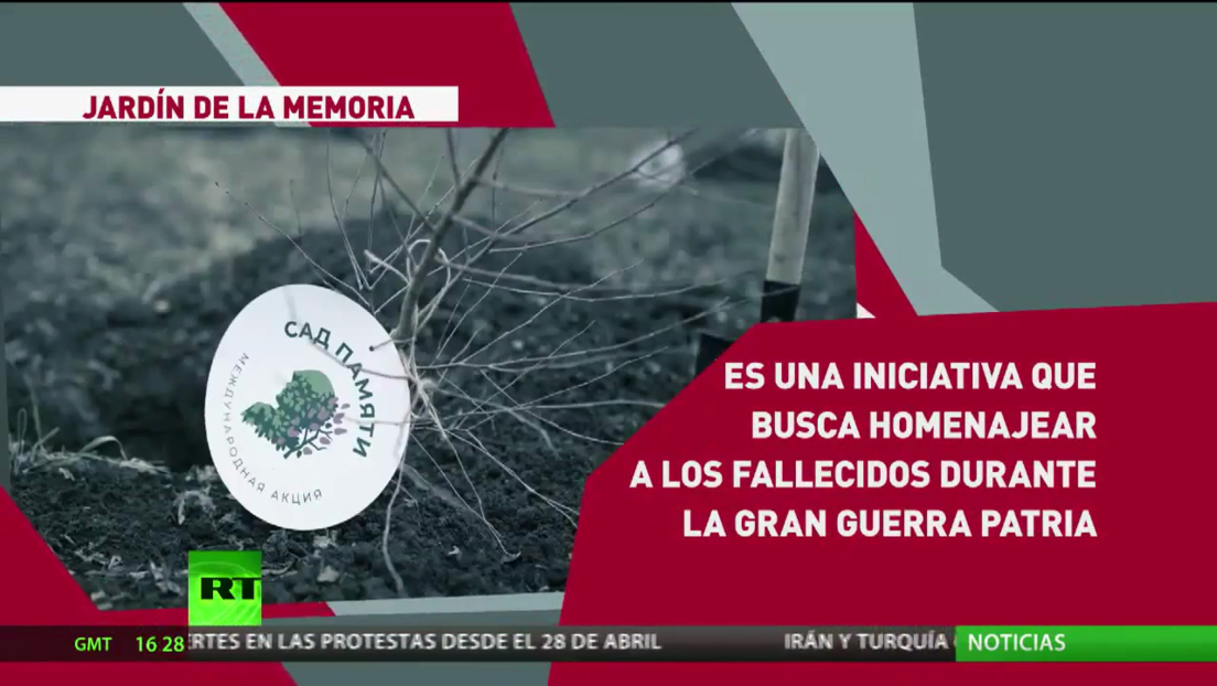 Lanzan la iniciativa Jardín de la Memoria para conmemorar a los 27 millones de personas que perdieron la vida en la Gran Guerra Patria