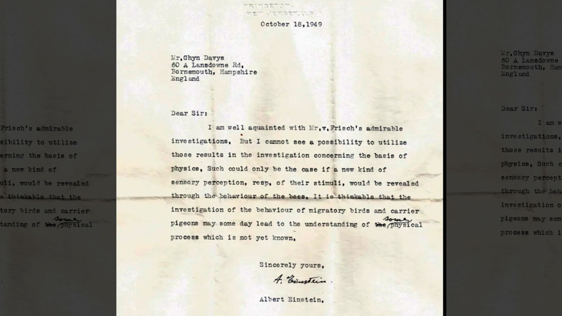 Descubren una carta perdida de Einstein que predice la existencia de supersentidos animales décadas antes de que surja la evidencia