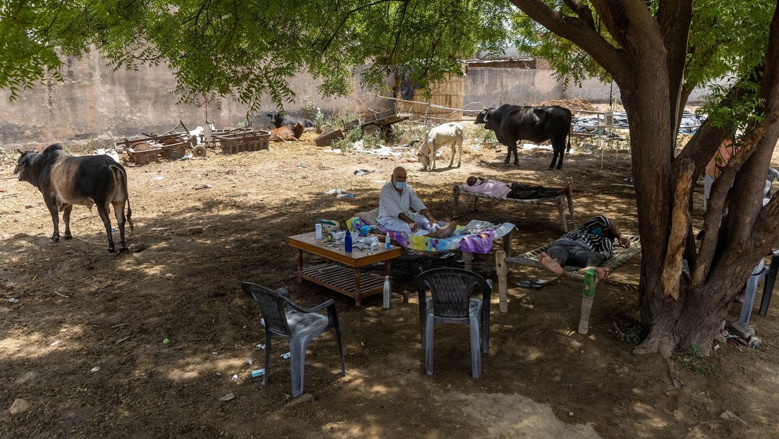 Un indio vive 11 días en un árbol para no contagiar el covid-19 a su familia