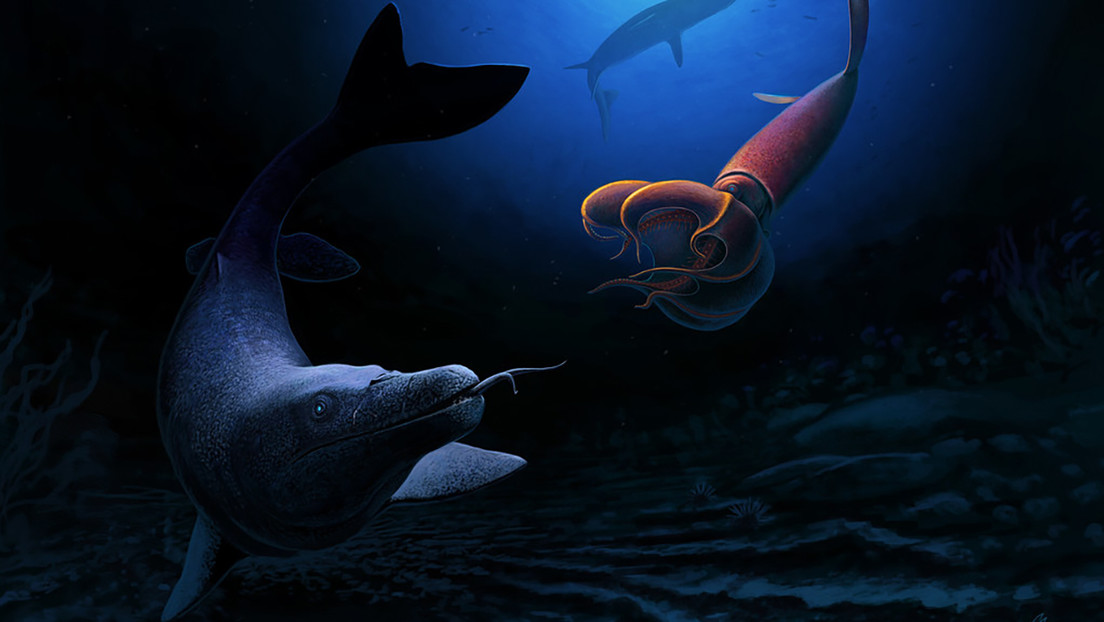 Hallan en Marruecos fósiles de una especie de lagarto marino gigante que medía ocho metros y cazaba como las serpientes