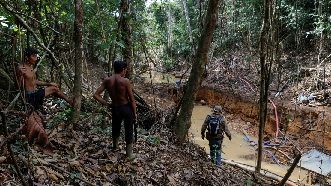 Cómo la masiva invasión de los mineros ilegales golpea a los indígenas yanomami