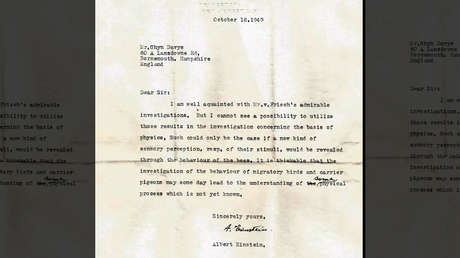 Descubren una carta perdida de Einstein que predice la existencia de supersentidos animales décadas antes de que surja la evidencia