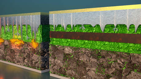 Crean una batería de litio-metal de larga duración que podría revolucionar la industria de los autos eléctricos al cargarse en 10 minutos