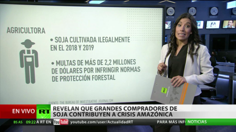 Revelan que grandes compradores de soja contribuyen a la crisis en la Amazonia