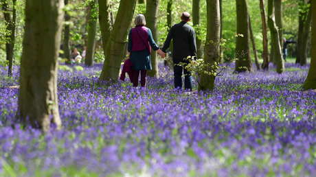 Científicos determinan que incluso los paseos breves y esporádicos contribuyen a una mayor longevidad