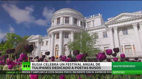 Rusia celebra un festival anual de tulipanes dedicado a poetas rusos