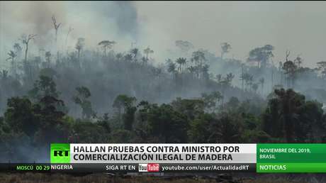 Hallan pruebas contra el ministro de Medio Ambiente brasileño por la comercialización ilegal de madera