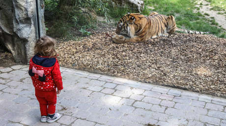 Un jubilado alemán compra entradas para el zoo a 33.333 niños