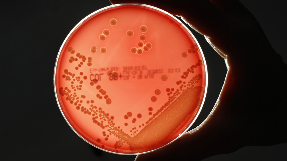 Un hombre se contagia con una bacteria 'comecarne' al rasurarse con una afeitadora ajena