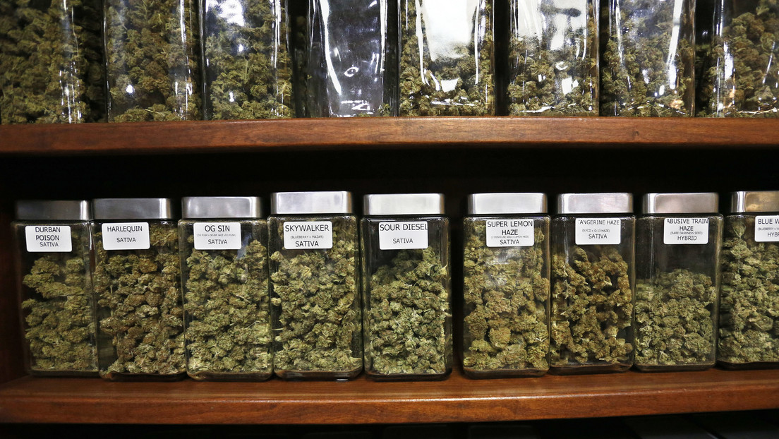 Crece el número de mujeres y representantes de la generación Z en EE.UU. entre quienes prueban marihuana por primera vez