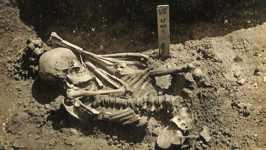 Reconstruyen la muerte violenta de un pescador japonés que fue atacado por un tiburón hace 3.000 años