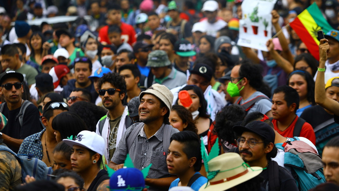 La Suprema Corte de Justicia de México aprueba el uso lúdico de la marihuana