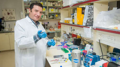 Científicos logran retrasar el envejecimiento en ratones y esperan que el método pueda funcionar en humanos