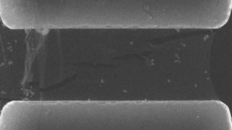 "Nadie esperaba ver esto en materiales 2D": Determinan una materia bidimensional 10 veces más resistente a la fractura que el grafeno