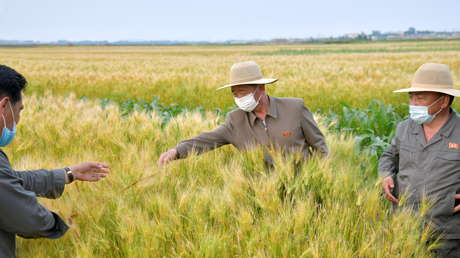 Kim Jong-un declara una situación alimentaria "tensa" en Corea del Norte por el paso de tifones