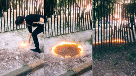 Una tendencia peligrosa en TikTok: jóvenes prenden fuego a pelusas de álamo y provocan consecuencias graves