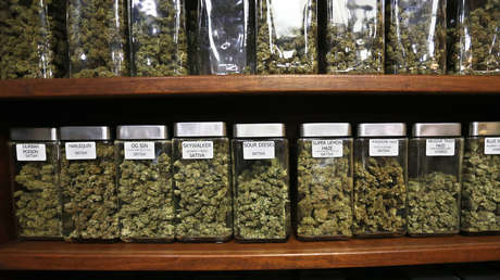 Crece el número de mujeres y representantes de la generación Z en EE.UU. entre quienes prueban marihuana por primera vez